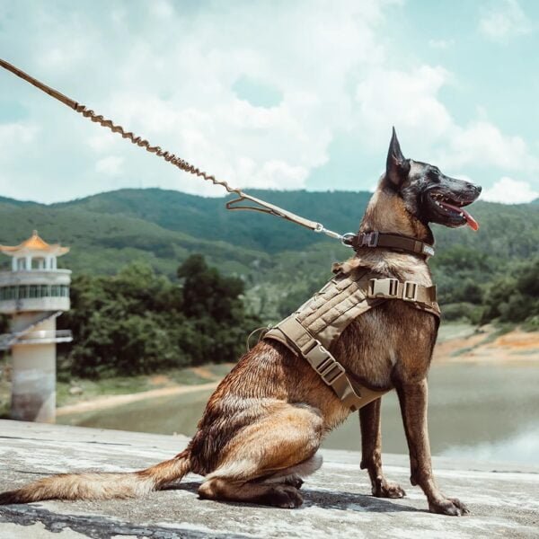 EXCELLENT ELITE SPANKER Pet Dog Harness K9 Training Vest Combat Harness Working/Running Dog Vest Adjustable Patrol Harness